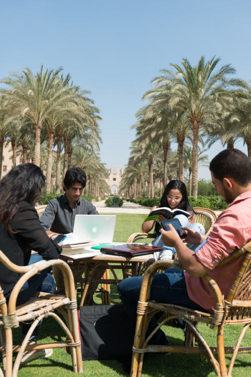 group of students in campus garden talking and smiling