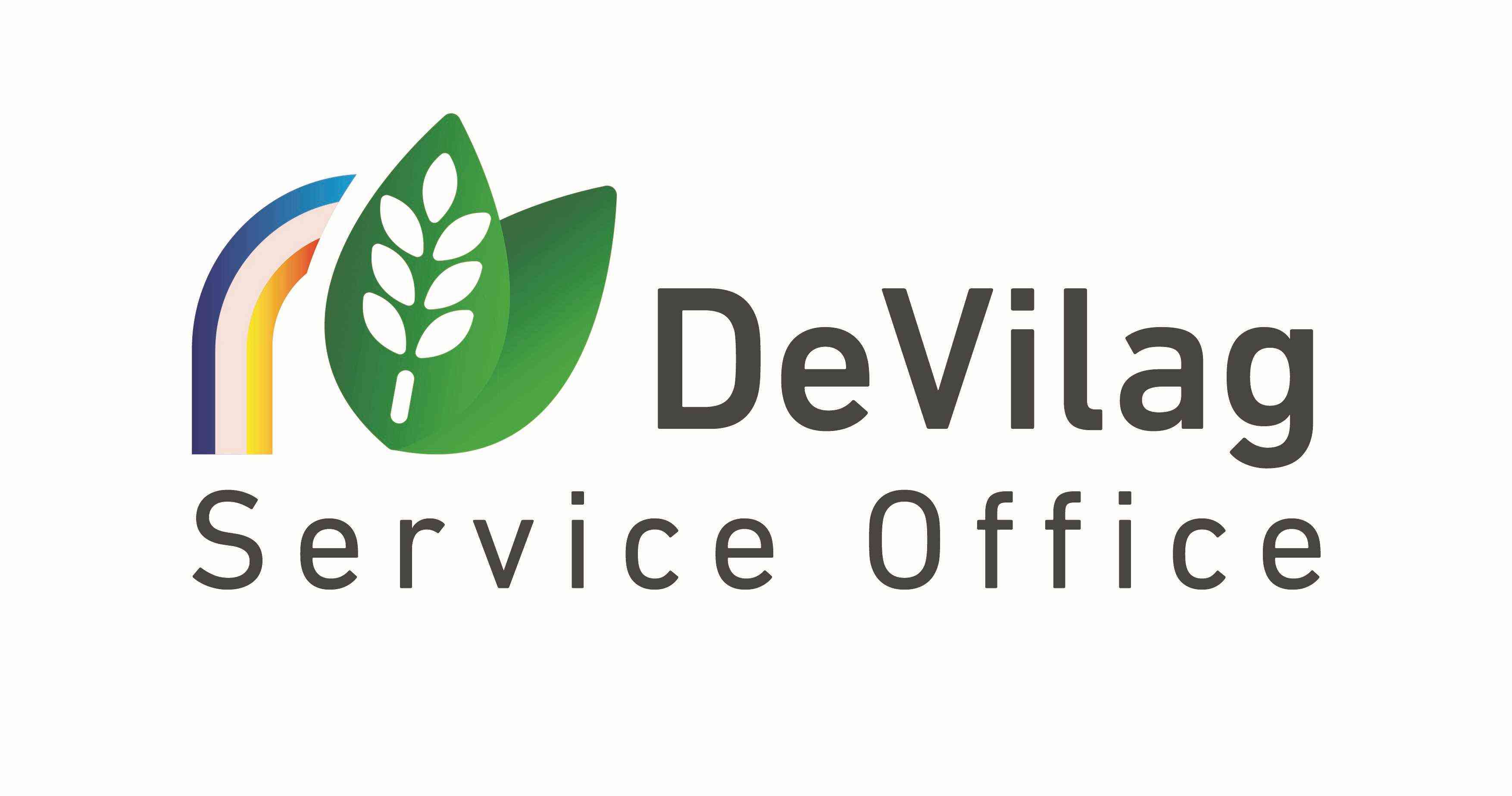 devilag service office logo