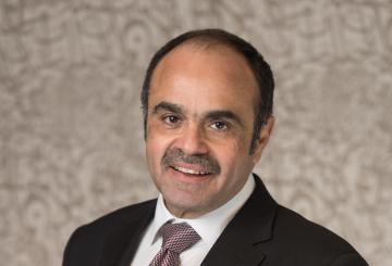 Professor Alaa-Eldin-Adris