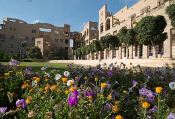 AUC Cairo Campus