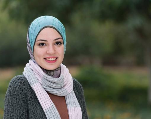 Dina Bahaa - 2017