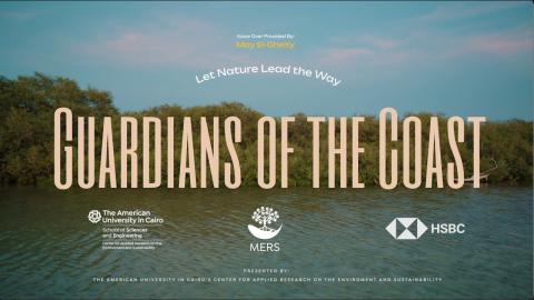Guardians of the the coast