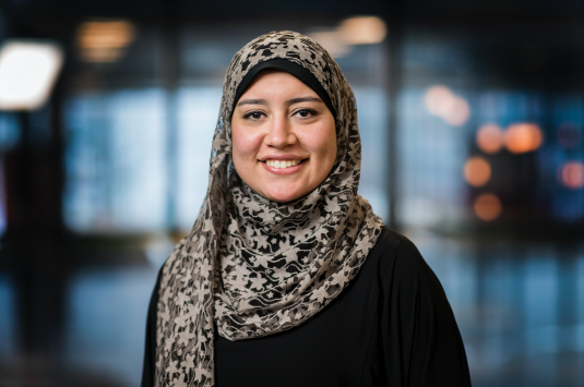 elhamfadaly