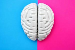 A brain is split in half between a blue and pink background (representing male and female)