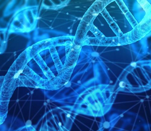 dna