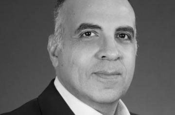 Professor Hani Sewilam