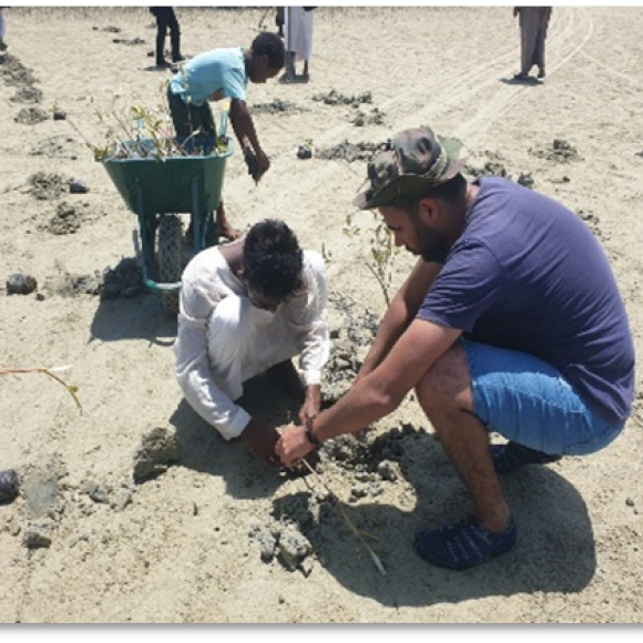 student helping a child plant mangrove plantation