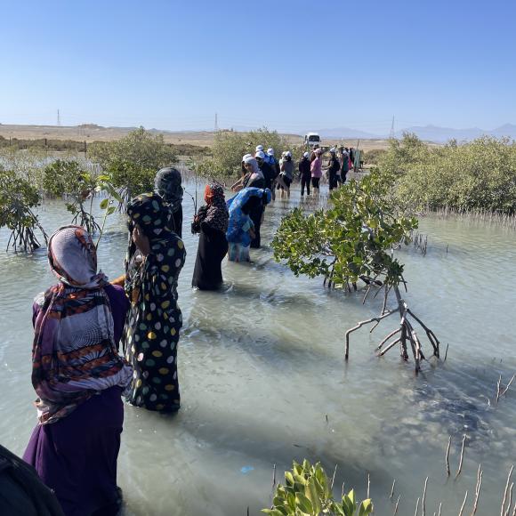 Economic Empowerment MERS works