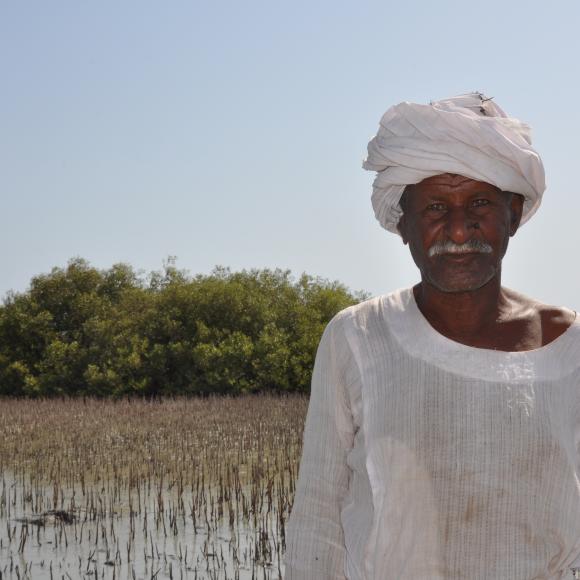 Mangrove Ecosystem Restoration Solution