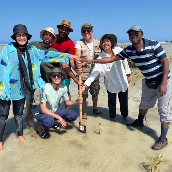 AUC Plantation
