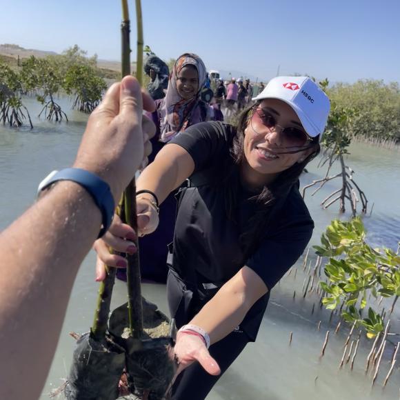 AUC Plantation