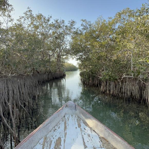 Economic Empowerment & Mangrove-based Enterprises