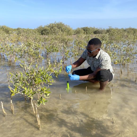 Climate Smart Agri-Hub